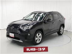 ＲＡＶ４