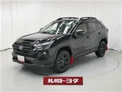 トヨタ RAV4 HVアドベ オフロード2