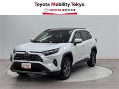 ＲＡＶ４