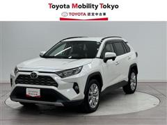 ＲＡＶ４