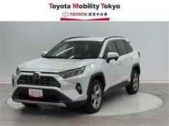 ＲＡＶ４