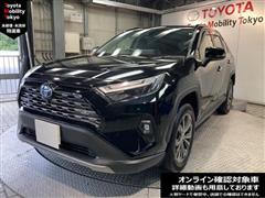 ＲＡＶ４