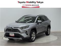 ＲＡＶ４