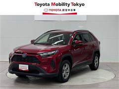 ＲＡＶ４