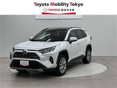 ＲＡＶ４