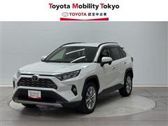 ＲＡＶ４