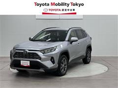 ＲＡＶ４