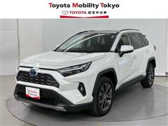 ＲＡＶ４