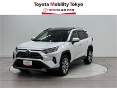 ＲＡＶ４