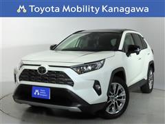 ＲＡＶ４