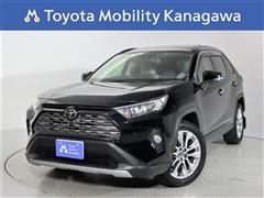 ＲＡＶ４