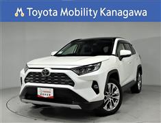 ＲＡＶ４