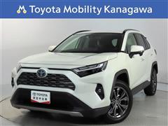 ＲＡＶ４