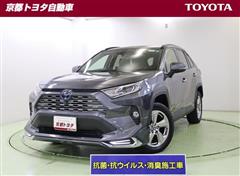 ＲＡＶ４