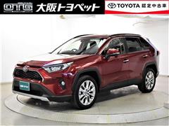 ＲＡＶ４