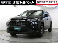 ＲＡＶ４