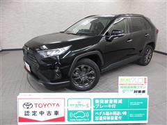 ＲＡＶ４