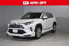 ＲＡＶ４