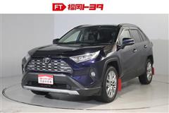 ＲＡＶ４