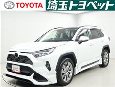 ＲＡＶ４