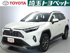 ＲＡＶ４