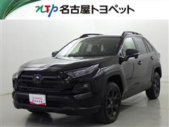 トヨタ RAV4 アドベンチャー オフロート