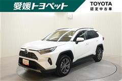 ＲＡＶ４