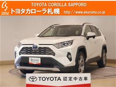 ＲＡＶ４