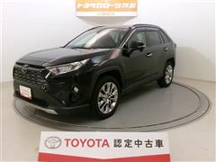 ＲＡＶ４