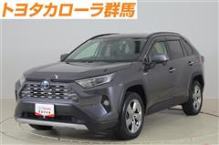 トヨタ RAV4 ハイブリッドG 4WD