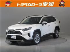 ＲＡＶ４