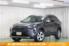 ＲＡＶ４