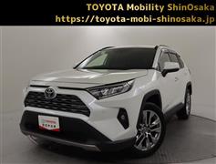 ＲＡＶ４