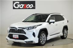 ＲＡＶ４