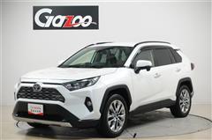 ＲＡＶ４