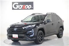 ＲＡＶ４