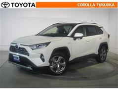 ＲＡＶ４