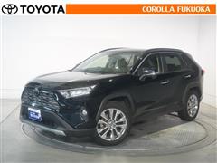 ＲＡＶ４