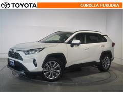 ＲＡＶ４