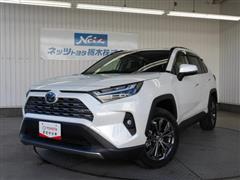 ＲＡＶ４