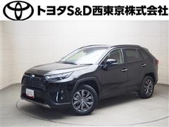 ＲＡＶ４