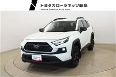 ＲＡＶ４