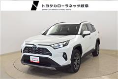 ＲＡＶ４