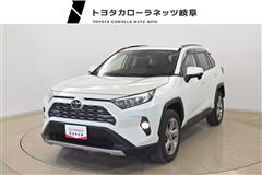 ＲＡＶ４