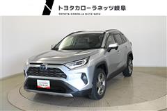 ＲＡＶ４