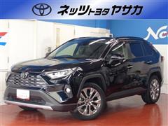 ＲＡＶ４