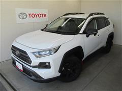 トヨタ RAV4 AD オフロード PKG2